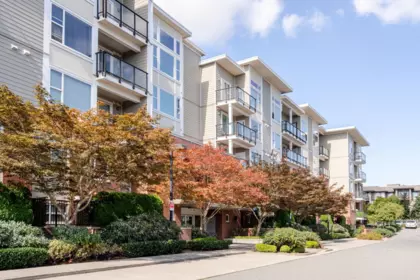 429 15956 86a Avenue, Surrey, BC, Surrey — Apartment/Condo for sale