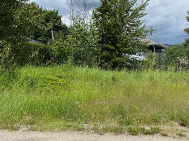 327 Robson Street, No City Value, BC, Sunshine Valley —  bed land for sale