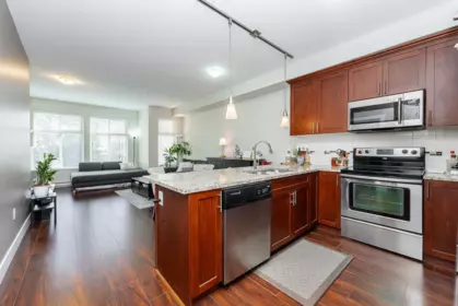 307 2330 Shaughnessy Street, Port Coquitlam, BC, Port coquitlam — Apartment/Condo for sale