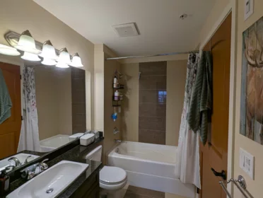 Primary Bathroom Photo of 306 11935 Burnett Street, Maple Ridge, BC