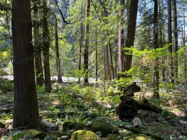 Bedroom 2 Photo of 18 19743 Foster Road, Hope, BC