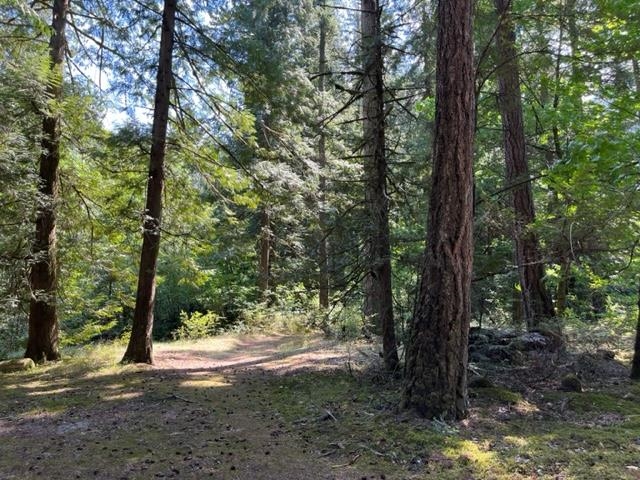 Bedroom 3 Photo of 18 19743 Foster Road, Hope, BC