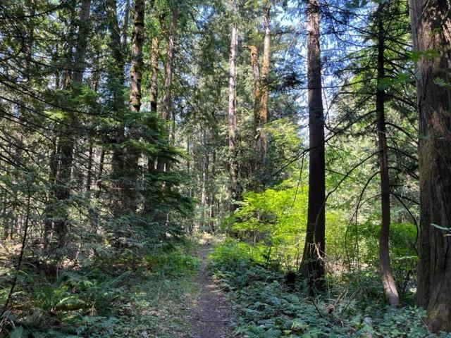 Breakfast Nook Photo of 18 19743 Foster Road, Hope, BC