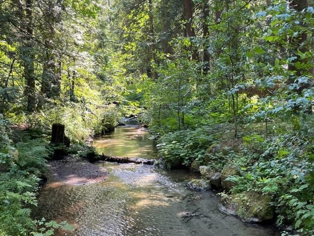 Exterior Rear Photo of 18 19743 Foster Road, Hope, BC