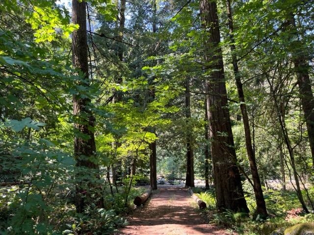 Front Yard Photo of 18 19743 Foster Road, Hope, BC