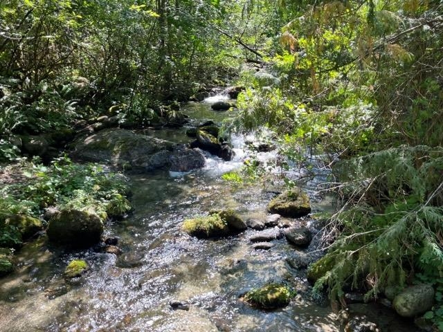 Living Room Photo of 18 19743 Foster Road, Hope, BC