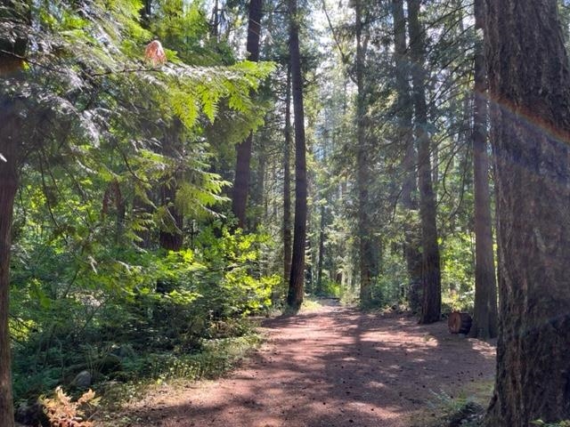 Loft / Bonus Room Photo of 18 19743 Foster Road, Hope, BC