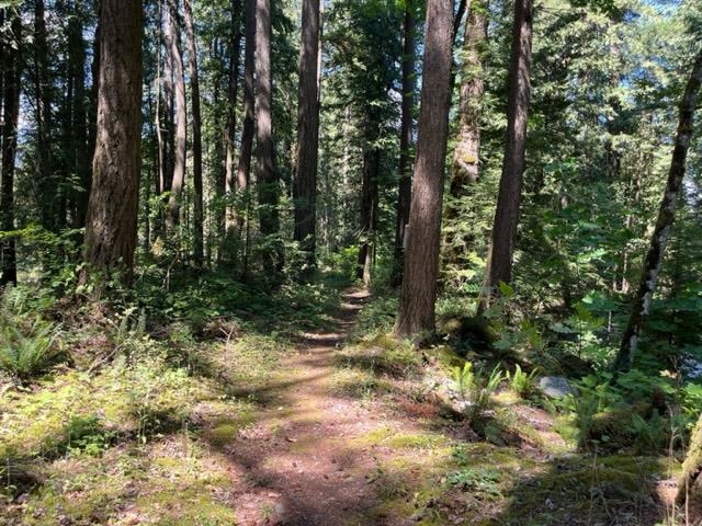Pantry Photo of 18 19743 Foster Road, Hope, BC