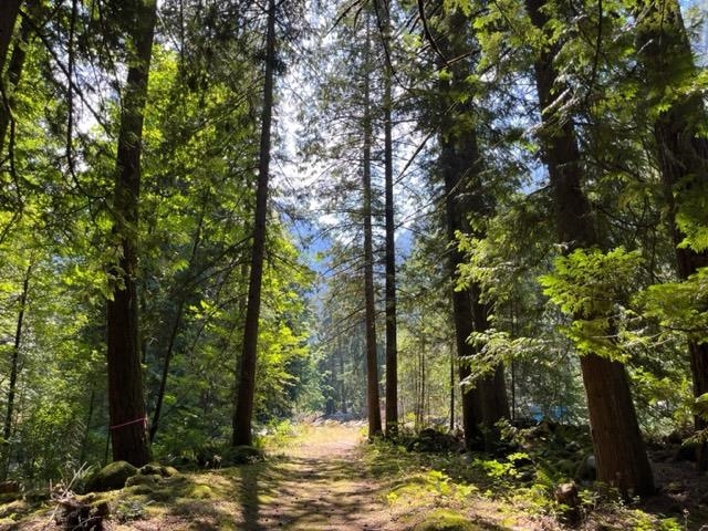 Powder Room Photo of 18 19743 Foster Road, Hope, BC
