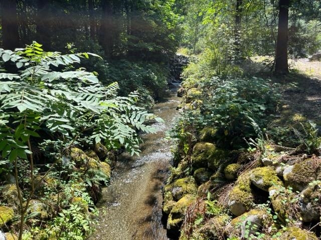 Staircase Photo of 18 19743 Foster Road, Hope, BC