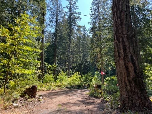 Swimming Pool Photo of 18 19743 Foster Road, Hope, BC