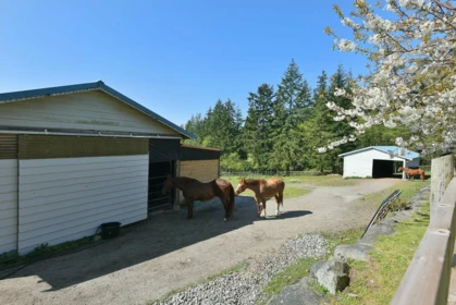 Outdoor Patio Photo of 2010 Ranch Road, Roberts Creek, BC