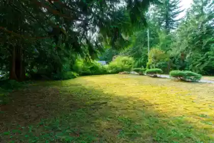 11288 Graham Street, Maple Ridge, BC, Maple Ridge — Single Family Residence for sale