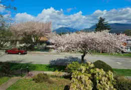 4362 Cambridge Street, Burnaby, BC V5C 1H4, Burnaby, BC, V5C 1H4