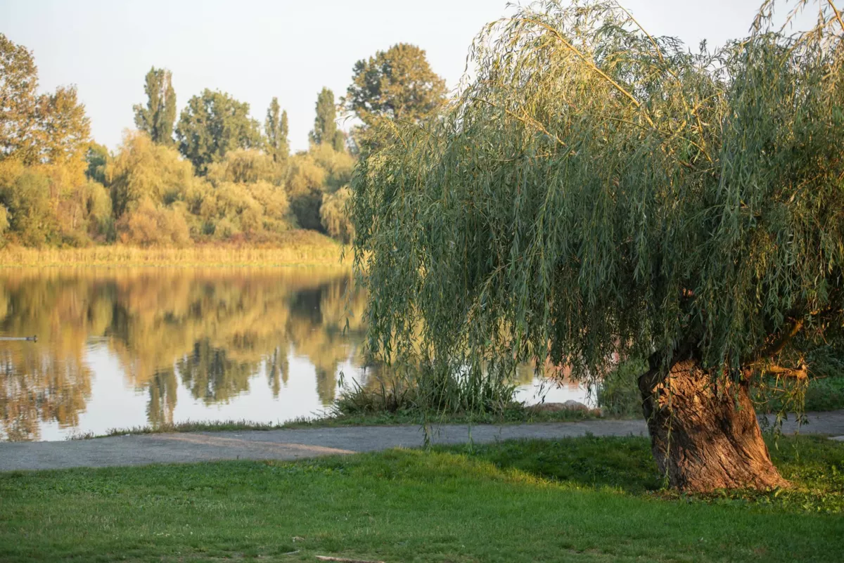 Staircase Photo of 204 3264 Vanness Avenue, Vancouver, BC