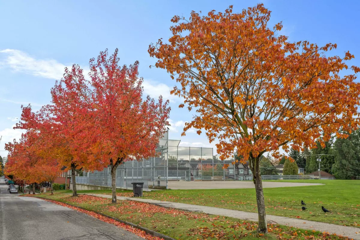 Neighborhood Park Photo Near 1088 W 42nd Avenue, Vancouver, BC