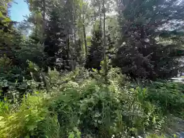 70901 Old Hope Princeton Highway, Sunshine Valley, BC, Sunshine Valley — Land for sale
