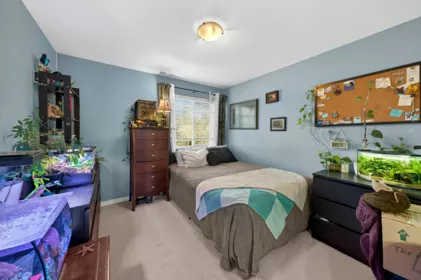 Hallway Photo of 10668 245b Street, Maple Ridge, BC