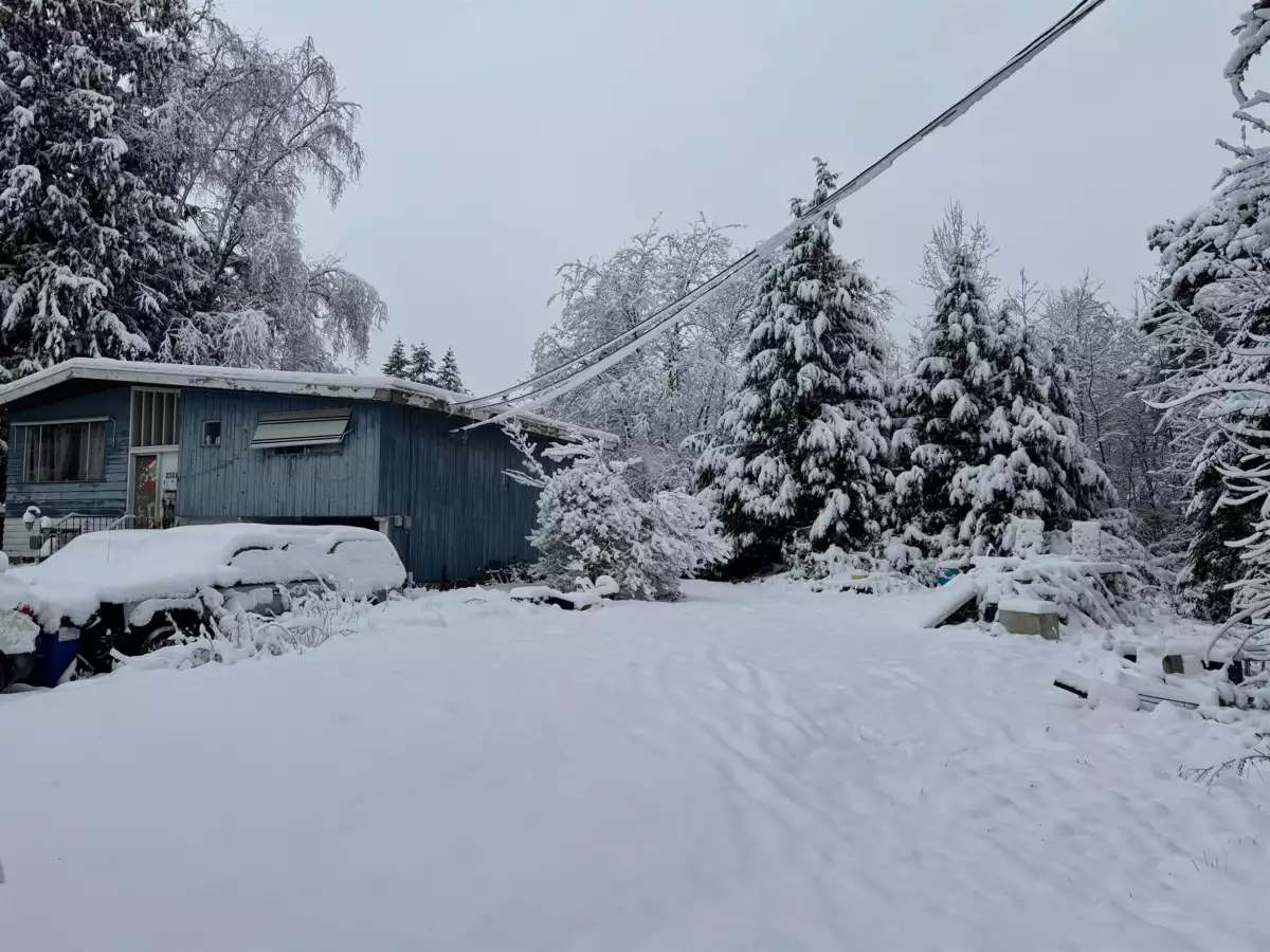 Bedroom 3 Photo of 23311 118 Avenue, Maple Ridge, BC
