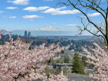 65 Ellesmere Avenue, Burnaby, BC, Capitol Hill BN — 6 bed single family residence for sale