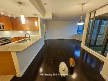 301 7362 Elmbridge Way, Richmond, BC, Brighouse — 1 bed apartment/condo for sale