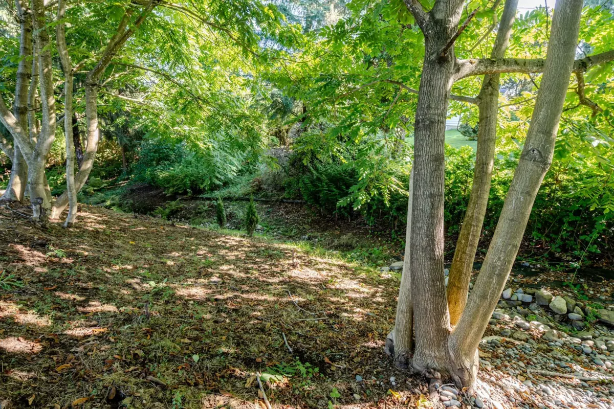 Backyard Photo of 8528 Dunn Street, Mission, BC