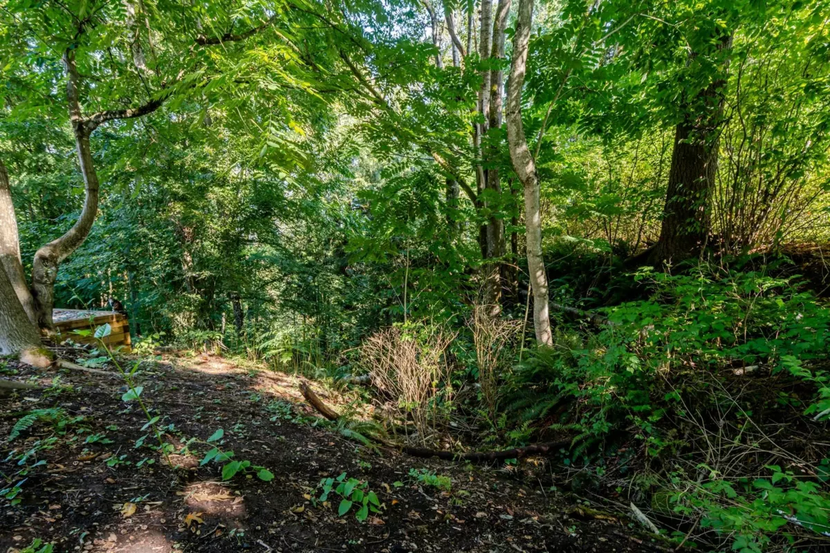 Swimming Pool Photo of 8528 Dunn Street, Mission, BC