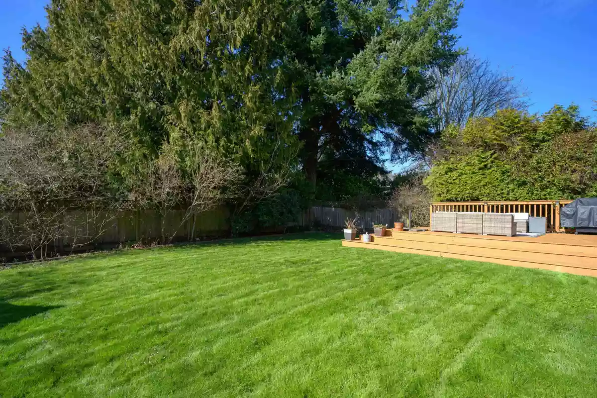 Neighborhood Park Photo Near 1345 53a Street, Delta, BC