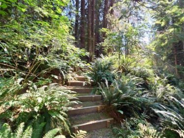 Backyard Photo of 793 Andy's Bay Road, Gambier Island, BC