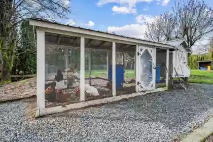 Outdoor Kitchen Photo of 2284 Ashton Road, Agassiz, BC