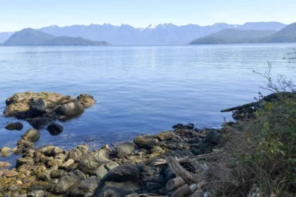 Front Yard Photo of LOT 18 Cotton Point, Keats Island, BC
