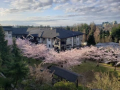 201 3082 Dayanee Springs Boulevard, Coquitlam, BC