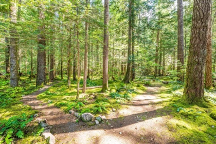 Hallway Photo of 4030 Midnight Way, Squamish, BC