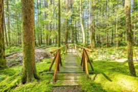 4030 Midnight Way, Squamish, BC