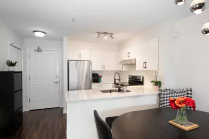 Laundry Room Photo of 314 225 Newport Drive, Port Moody, BC