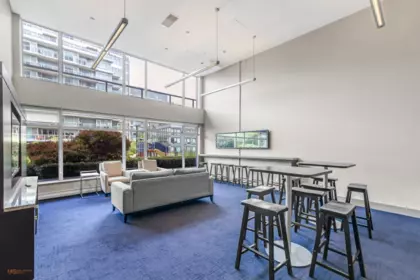 Basement Recreation Room Photo of 514 1708 Columbia Street, Vancouver, BC