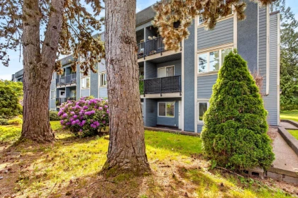 Laundry Room Photo of 105 1122 King Albert Avenue, Coquitlam, BC