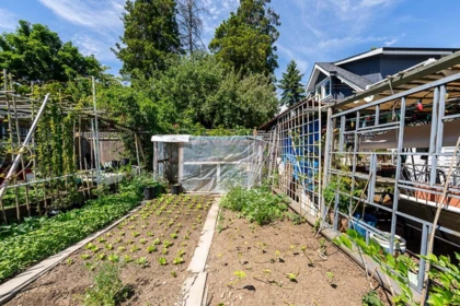 Backyard Photo of 3553 Inverness Street, Vancouver, BC