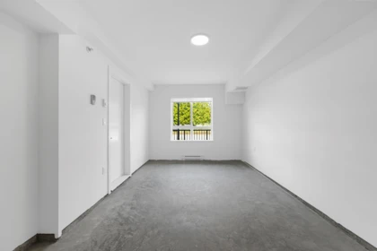 Loft / Bonus Room Photo of 10 388 Duncan Street, New Westminster, BC