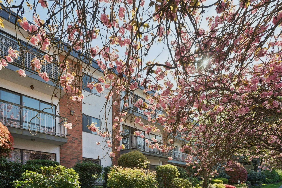 Exterior Rear Photo of 213 1950 W 8th Avenue, Vancouver, BC