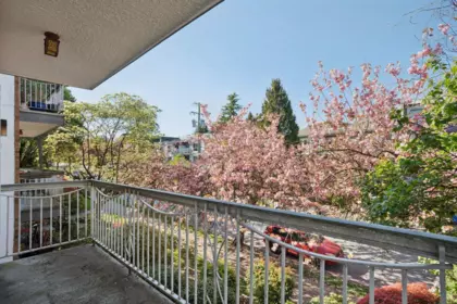 Basement Recreation Room Photo of 213 1950 W 8th Avenue, Vancouver, BC
