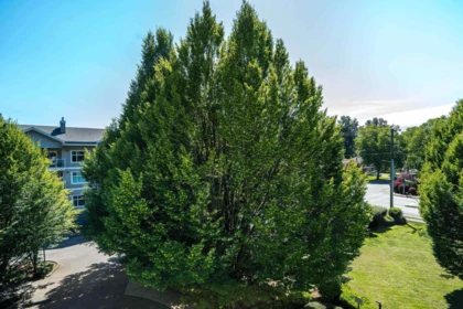 Outdoor Deck Photo of 311 9018 208 Street, Langley, BC