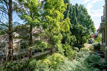 Backyard Photo of 222 2109 Rowland Street, Port Coquitlam, BC