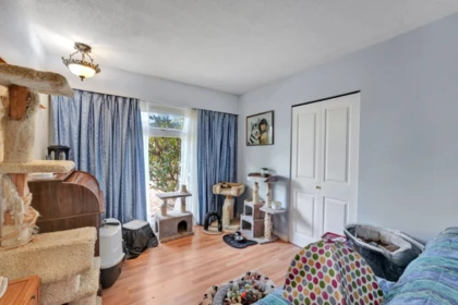 Basement Recreation Room Photo of 11750 195a Street, Pitt Meadows, BC