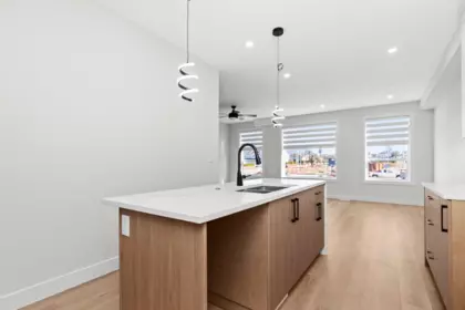 Pantry Photo of 8576 Dunbar Way, Mission, BC