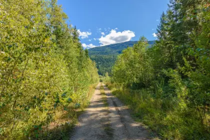 Kitchen Photo of Lot A & Lot 6 Anstey Arm, No City Value, BC