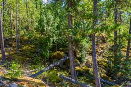 Pantry Photo of Lot A & Lot 6 Anstey Arm, No City Value, BC