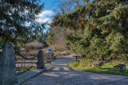 Backyard Photo of 29 5761 Wharf Avenue, Sechelt, BC