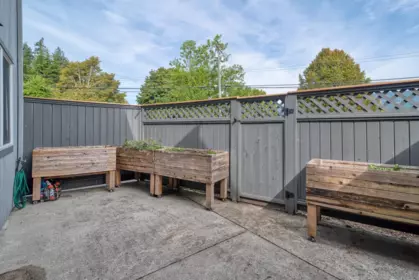 Basement Recreation Room Photo of 29 5761 Wharf Avenue, Sechelt, BC