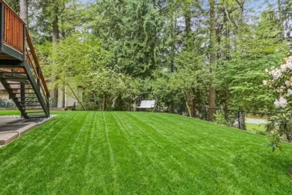 Front Yard Photo of 23913 58a Avenue, Langley, BC